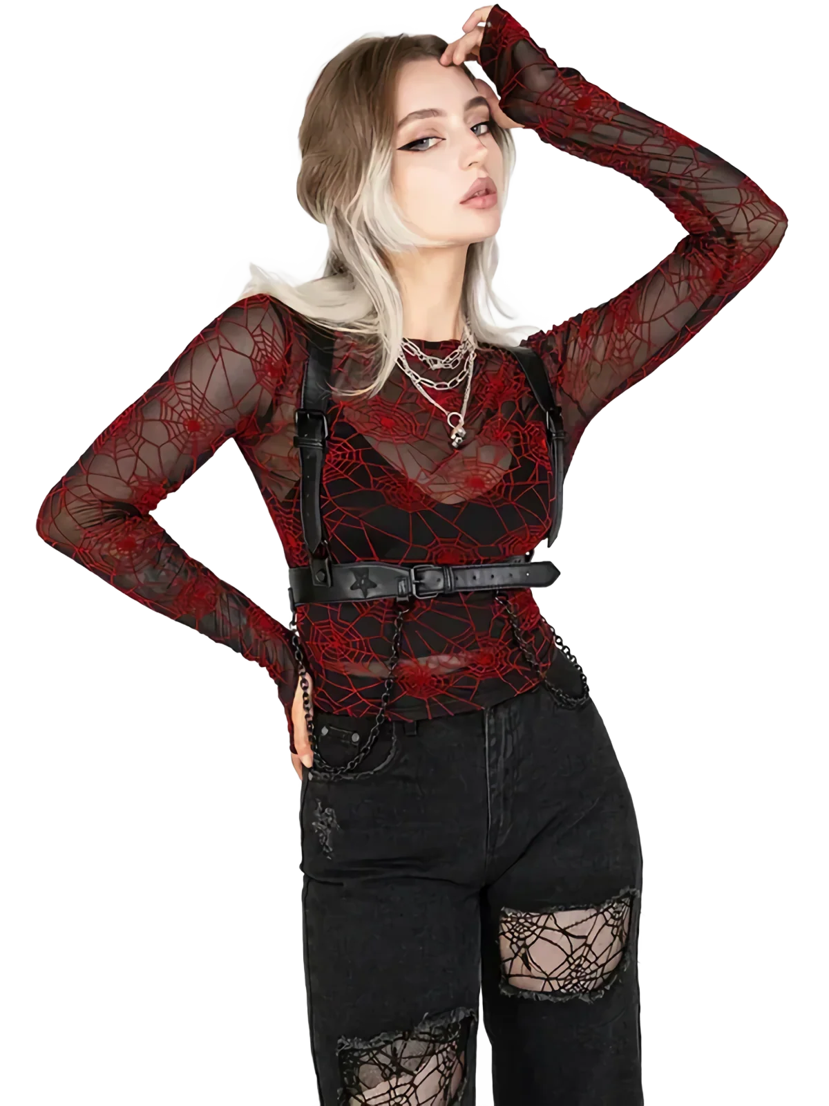 Crimson Web Sheer Mesh Long Sleeve Top